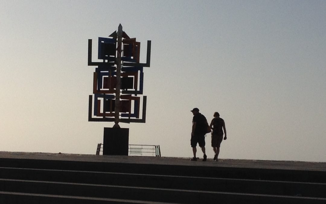 Introduction of the SII in the Canary Islands