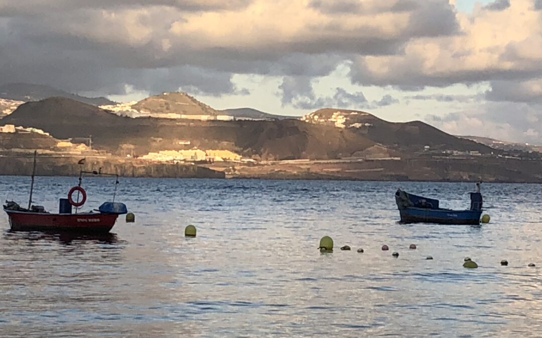 VIDA and the taxpayer Odyssey